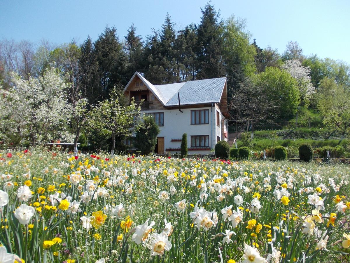 Pensiunea Paradis Borobanesti Dış mekan fotoğraf