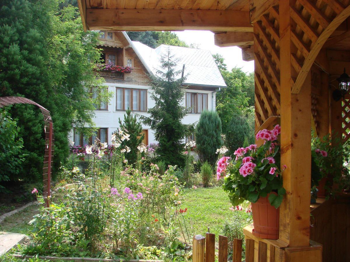 Pensiunea Paradis Borobanesti Dış mekan fotoğraf