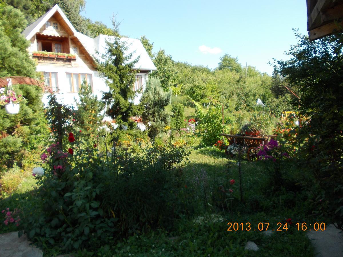 Pensiunea Paradis Borobanesti Dış mekan fotoğraf