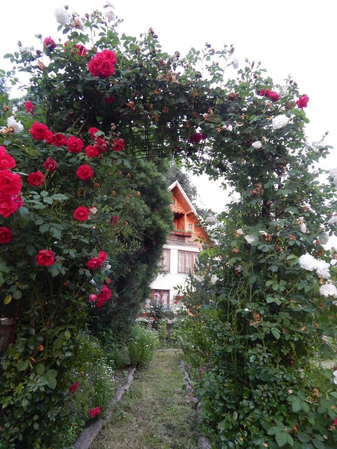 Pensiunea Paradis Borobanesti Dış mekan fotoğraf