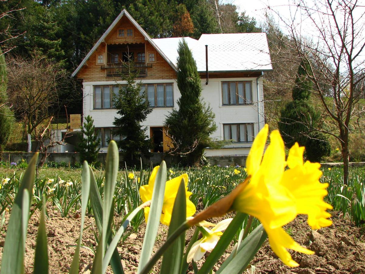 Pensiunea Paradis Borobanesti Dış mekan fotoğraf