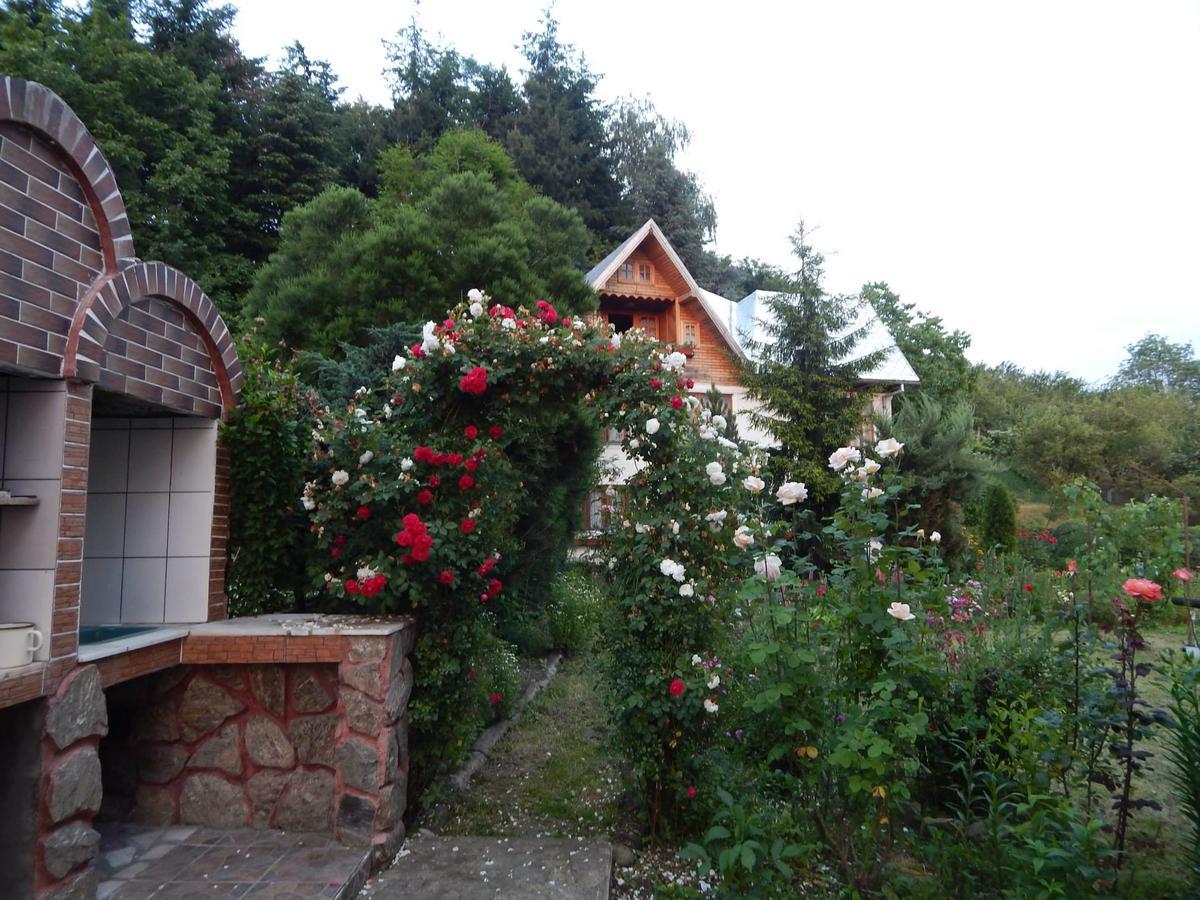 Pensiunea Paradis Borobanesti Dış mekan fotoğraf