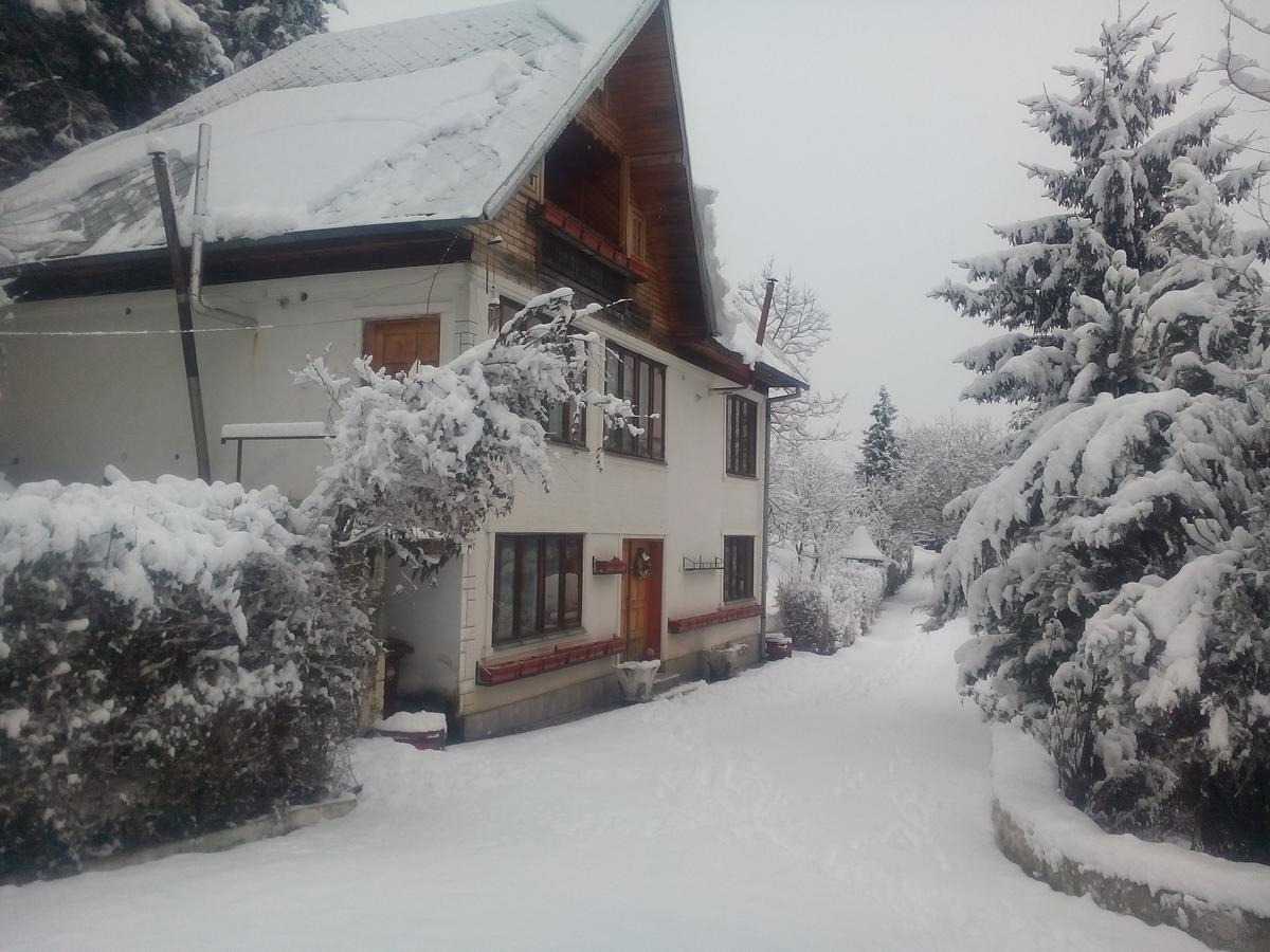 Pensiunea Paradis Borobanesti Dış mekan fotoğraf