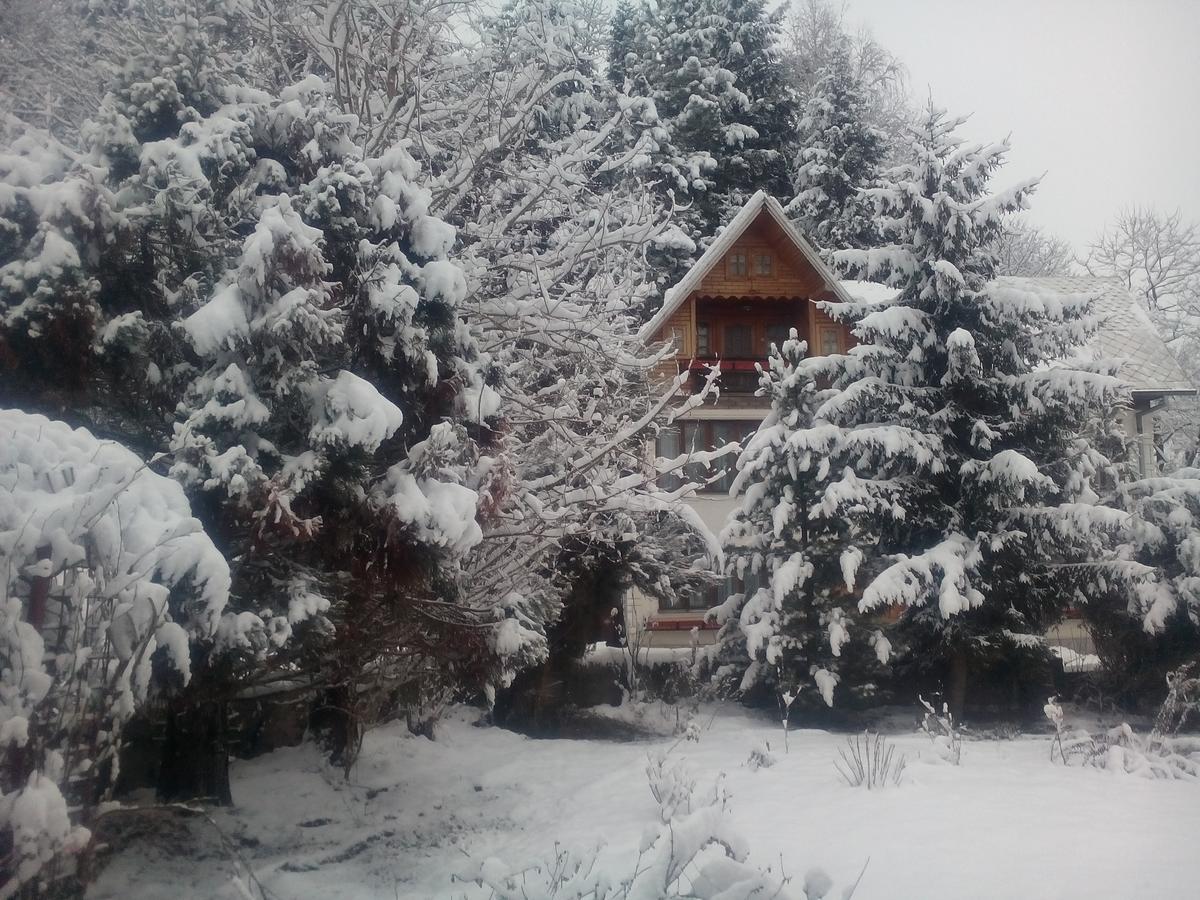 Pensiunea Paradis Borobanesti Dış mekan fotoğraf